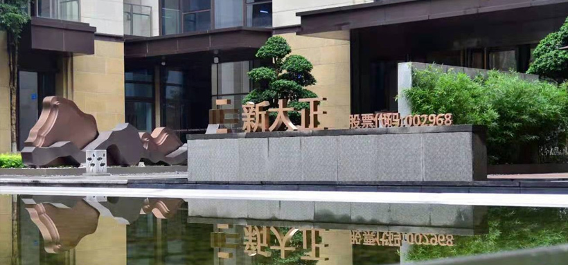 新大正物业集团股份有限公司